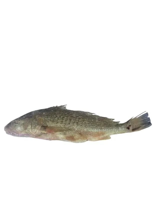Main product